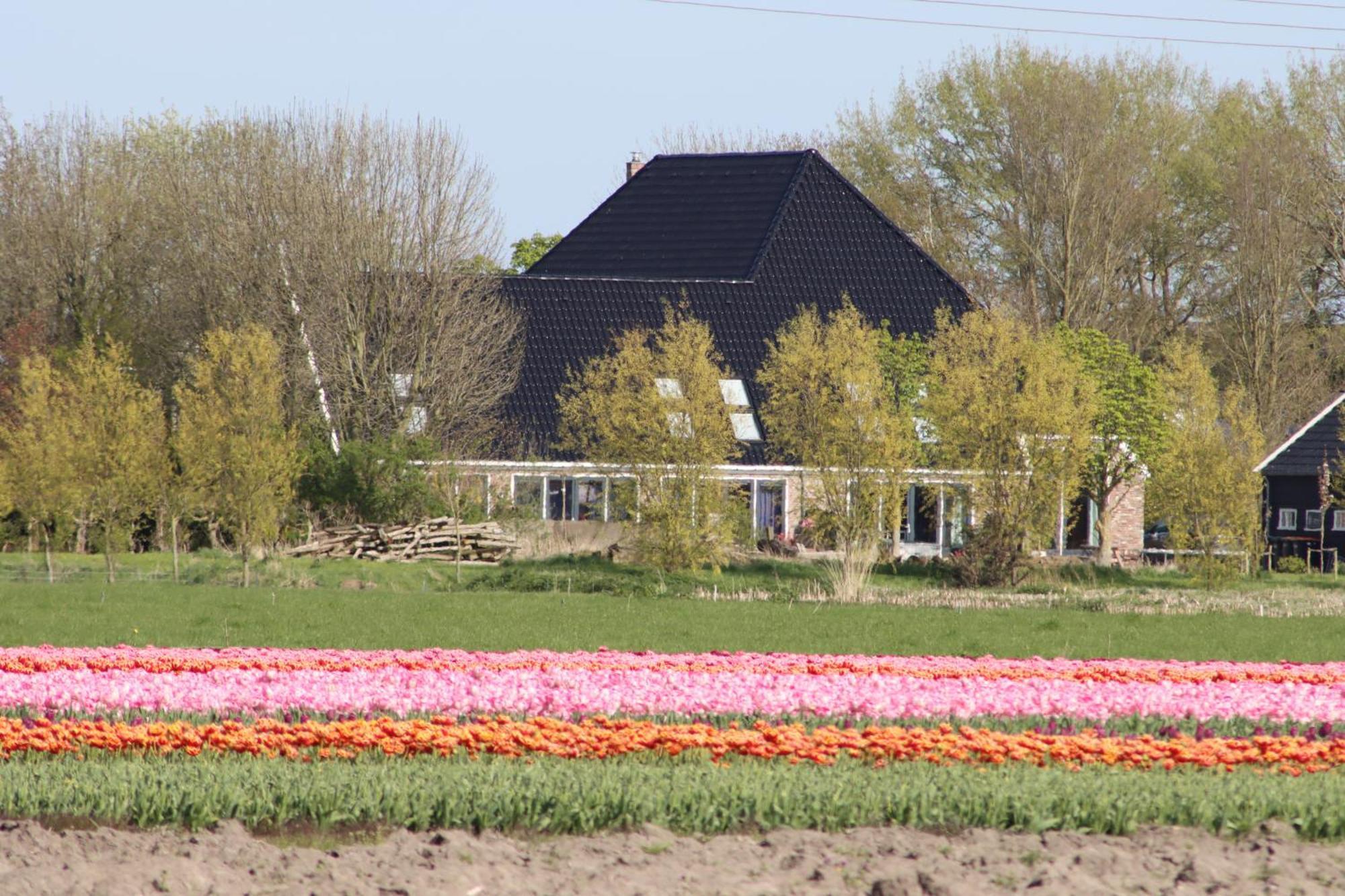 B&B Heeringhuusen Haringhuizen Luaran gambar